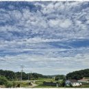 더블루네스 이미지