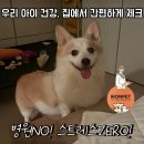 강아지 건강검진, 병원 안 가고 집에서 체크하는 법 - 아이언펫