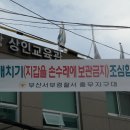 충무동해안시장 이미지