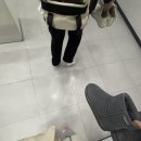 자현학원 이미지