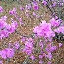 기억-그리움 이미지