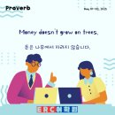 캐슬욱영어