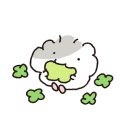 치킨마루 수원성대점 이미지