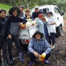 산내들 흑염소 이미지