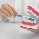 서울올리브치과의원 이미지