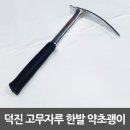 덕진 이미지