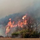 덕구리마을회관 이미지