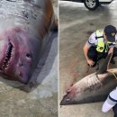 동해(삼척) 이미지