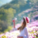 화원목장 이미지