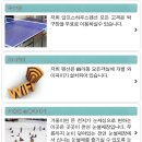 알프스하우스펜션 이미지