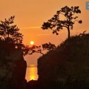 신년해맞이(취소) 이미지