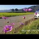 들길 따라서 이미지