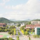 뉴 본 태권도 이미지