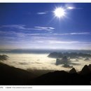 산과물 - 하동군 화개로 2-15 | 산과물