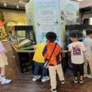 창녕우포곤충나라 이미지