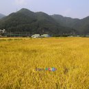 인제농협 미곡처리장 이미지