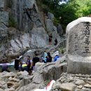 중원-88 Daum카페