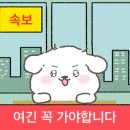 찌개랑탕이랑 이미지