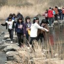 덕치구담마을 Daum카페