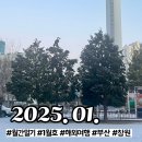 통영어쩌다게스트하우스 | [월간일기] 2025년 01월 호