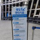 아나카페고래 이미지