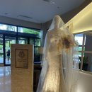 베이리프커피 - 안산시 단원구 광덕3로 167-10 | 필리핀 ‘더 베이리프 카비테’ 2박3일 두돌아기와 방문 + 조식상세 후기