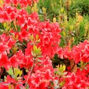 황구지길 이미지