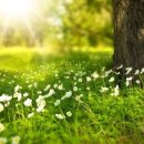 탄소중립실천 전문강사 양성과정 이미지