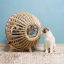 루나 하우스(Luna House) 이미지