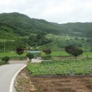 거창-신원-2 이미지