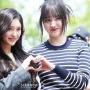 리즈 이미지