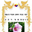 인민의 식량까지 훔치는 북한인민군..자살한 병사들 부조금까지 훔쳐서 술 쳐 마시는 군기빠진 남한군 이미지