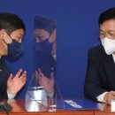 김영배 카카오 검색결과