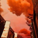 예성 스크린 | 2024.10.27. 10주기 신해철 추모 트리뷰트 콘서트를 다녀와서 (인스파이어 아레나)