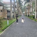 부남공원 | 흔들리는 P들 속에서