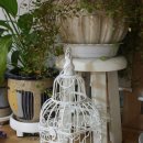 (주)레몬하우스 이미지