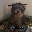 국제몰