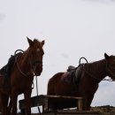 다올팬션민박 이미지