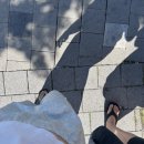 NR-6[경강로]-하-204 | 강릉 카페 추천｜여름 바다 따라, 형제장칼국수 한 그릇 그리고 평탄에서 마신 여름 맛 🌊🍜🌞