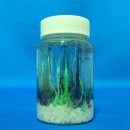 정원화학 이미지