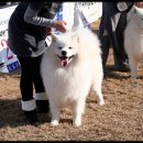 알곡켄넬 이미지