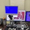 주식회사 미디어웍스 이미지