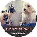 퍼스트독김해