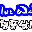 연론낚시터 Daum카페