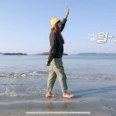 오엠지 이미지