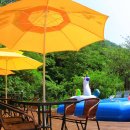 자연에 머물다 이미지