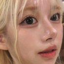 공주님이 삶아 온 브이로그