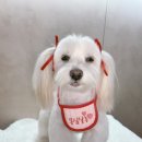 몽심살롱 이미지