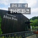 프라하어린이집 | 용인 기흥 하이드파크 카페 경기도어린이박물관 근처 아이와 가기 좋은 대형카페