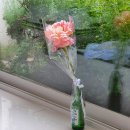 신효동-28 | <제주 2편> 2020.06.11-06.14